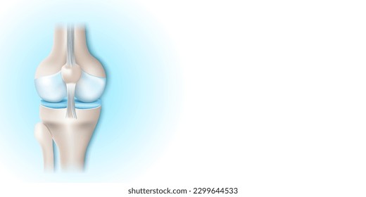 Bones of Knee joint with healthy cartilage on blue and white background with copy space for your text. Front view of human knee. Vector illustration for presentation, advertising, banner