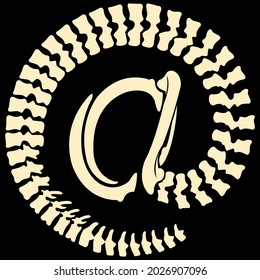Bones laid out in a circle