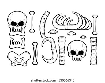 Bones set. Anatomy icons. Skull and spine. Jaw and pelvis. Ribs and tibia. Skeleton bone
