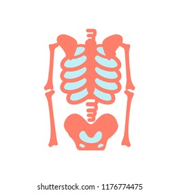 bones skeleton medic  