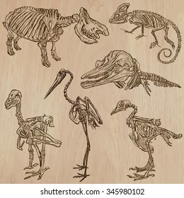 BONES, SKELETONS and Skulls of some Animals.Collection of an hand drawn vector illustrations.Freehand sketching.Each drawing comprise a few layers of lines. Background is isolated. Editable in groups.