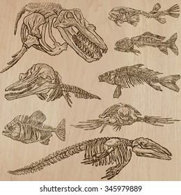 BONES, SKELETONS and Skulls of some (Under)Water Animals. Collection of an hand drawn vector illustrations. Freehand sketching. Each drawing comprise a few layers of lines. Background is isolated.