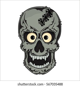 The bones of the skull human skeleton