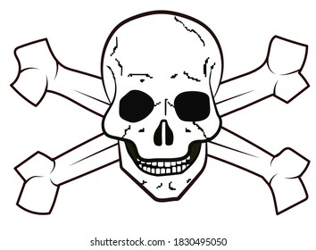 bones and skull on a white background