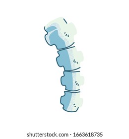 Knochen der Wirbelsäule, Körperteil auf weißem Hintergrund Vektorillustration Design 