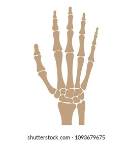 210 Dorsal wrist Images, Stock Photos & Vectors | Shutterstock