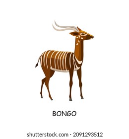 Bongo, African hoofed animal. Anteloppa. Vector illustration isolated on white background.