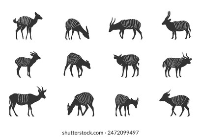 Bongo animal silhouette, Bongo silhouettes, Bongo animal vector set, Bongo antelope silhouette