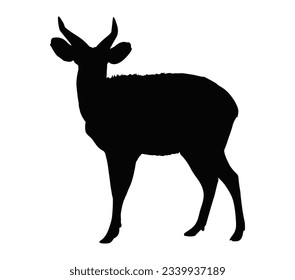 Bongo antelope animal silhouette vector art and illustration