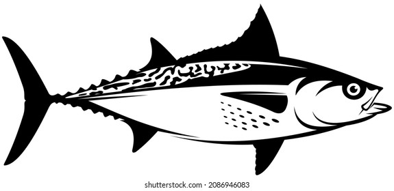 bonito fish vector for fishing logo company