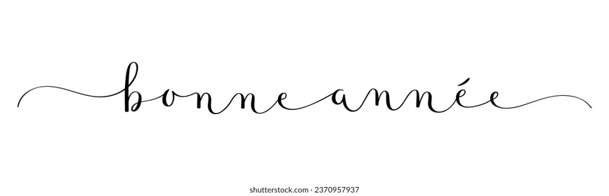 BONNE ANNEE (HAPPY NEW YEAR in French) black vector brush calligraphy banner