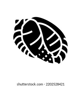 bonnet sea shell beach glyph icon vector. bonnet sea shell beach sign. isolated symbol illustration