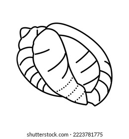 bonnet sea shell beach line icon vector. bonnet sea shell beach sign. isolated contour symbol black illustration