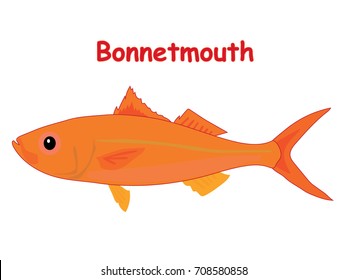 Bonnetmouth fish vector cartoon illustration, t shirt design for kids with aquatic animal theme isolated on white background wallpaper
