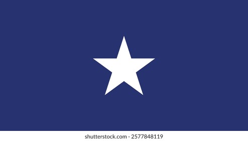 Bonnie Blue Flag Vector Illustration Premium Quality