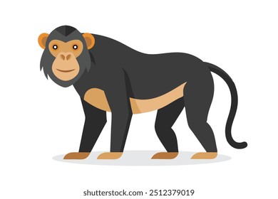 Bonobo animal flat vector isolated illustration on white background.
