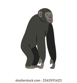 Bonobo cartoon clipart. Great ape bonobo vector illustration in flat style. Hand-drawn wild animal concept