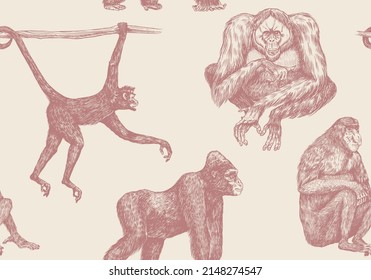 Bonobo or chimpanzee Seamless pattern. Western gorilla Orangutan. Vintage poster or banner. Colombian capuchin Proboscis monkey. Spider or Southern muriqui. Hand drawn engraved sketch. woodcut style. 