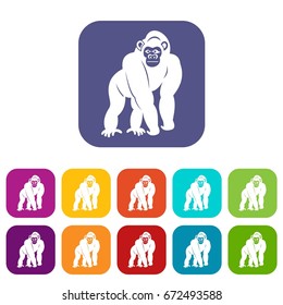 Bonobo Stock Vectors, Images & Vector Art  Shutterstock