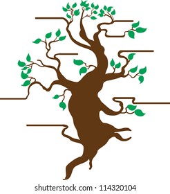 Bonsai