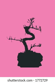 bonsai