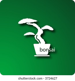 Bonsai