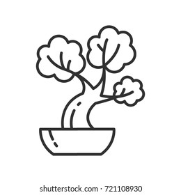bonsai