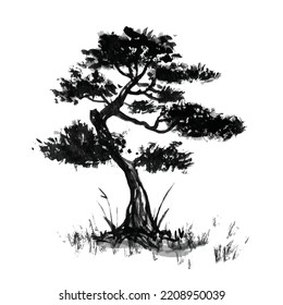 bonsai asian tree retro old line art etching vector