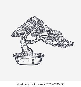 Bonsai schöne handgezeichnete Vektorgrafik, Zeichnung