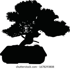 Bonsai-Vektorillustration