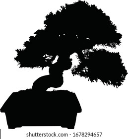 Bonsai black tree silhouette vector