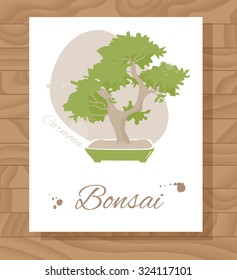 Bonsai. Card on wooden texture. Vector illustration. Carmona