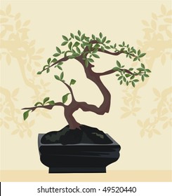 Bonsai in a clay bowl