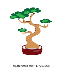 Bonsai colored icon. Japanese traditional tree, hand drawn illustration. Vector eps 10