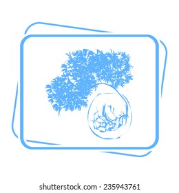 Bonsai icon