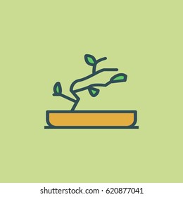bonsai icon