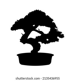 bonsai icon. Decoration sign. vector illustration