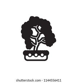 Bonsai icon. Vector.