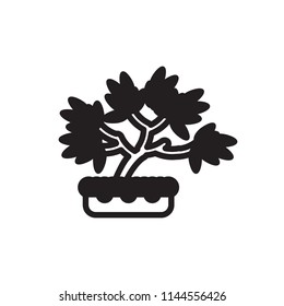 Bonsai icon. Vector.