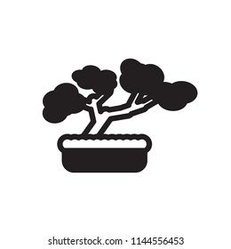 Bonsai icon. Vector.