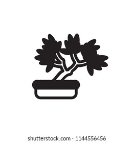 Bonsai icon. Vector.
