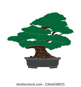 Bonsai icon vector illustration design