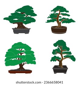 Bonsai icon vector illustration design