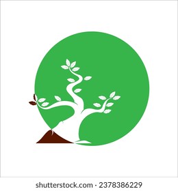 BONSAI ICON VECTOR ILLUSTRATION SYMBOL DESIGN