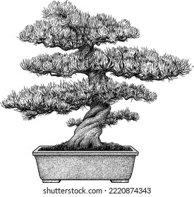 Bonsai illustration, drawing, engraving, ink, line art, vector