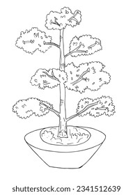 Bonsai illustration image. 
Hand drawn image artwork of a bonsai, 
Simple cute original logo.
Hand drawn vector illustration for posters, cards, t-shirts.