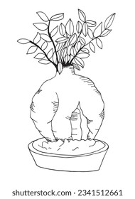 Bonsai illustration image. 
Hand drawn image artwork of a bonsai, 
Simple cute original logo.
Hand drawn vector illustration for posters, cards, t-shirts.