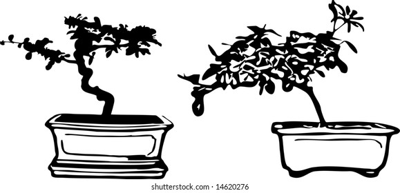 Bonsai Illustration Vector