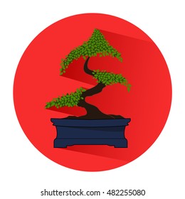Bonsai isolated on red circle. Icon. In the flat style.