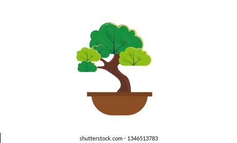 Bonsai isolated vector illustration